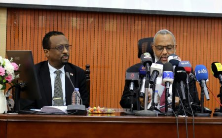 وزير الصحة: "سنكسر السجن الصحي على إنسان الفاشر"