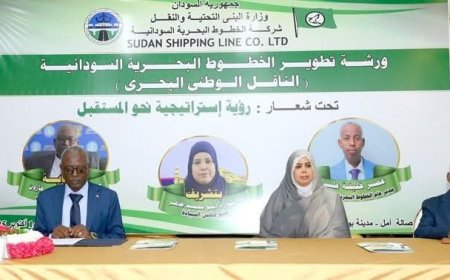 الحكومة تتجه لإستئجار عدد من السفن