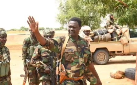 إنضمام فصيل مسلح إلى حركة (مناوي)..