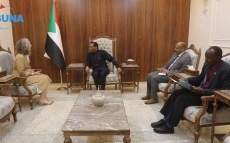 الحكومة: ملتزمون بتحقيق السلام وإنهاء التمرد