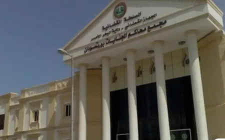 في دردشات (واتساب) ... السجن والغرامة لـ”محامي” أساء للجيش