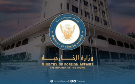 الحكومة تستدعي مسؤول أممي رفيع