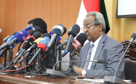 الحكومة: المليشـيا تتعاون وتنسق مع جماعات إرهابية وحركات سالبة بالإقليم 