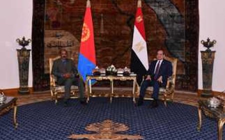 الرئيسان المصري والإريتري: يجب دعم مؤسسات الدولة السودانية وفي مقدمتها الجيش 