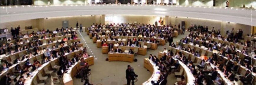 تمديد عمل بعثة تقصي حقوق الإنسان في السودان لعام آخر