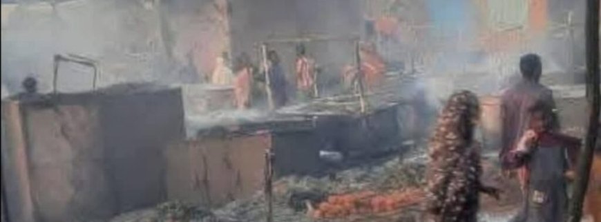 إنتفاضة دولية ضد جرائم المليشيا في الفاشر..