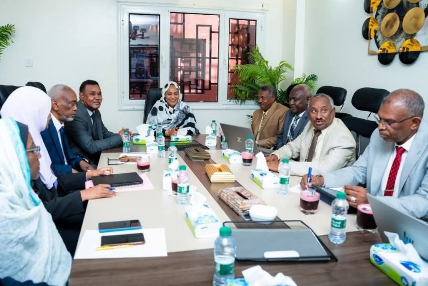 محافظ المركزي يوجه بإعداد خطة شاملة تخدم عودة الحياة الى مفاصل الدولة