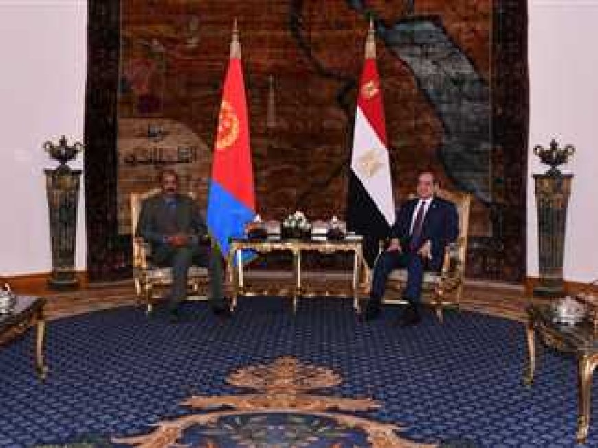 الرئيسان المصري والإريتري: يجب دعم مؤسسات الدولة السودانية وفي مقدمتها الجيش