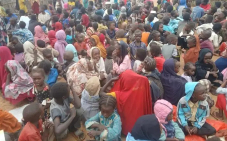 (أوتشا): المليشيا منعت الأمم المتحدة من الوصول إلى الفاشر