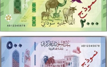 البنك المركزي يعلن عن إصدار عملة جديدة   