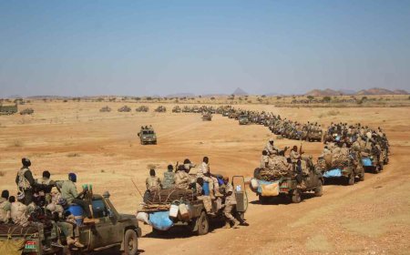 تحذيرات من حشود عسكرية للمليشيا وحركة(الحلو) بمحيط الدلنح 