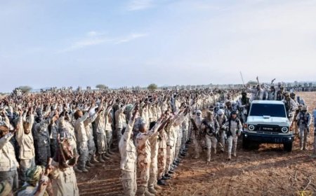 المليشيا تغتصب ثلاث فتيات وطفلة في غرب دارفور 