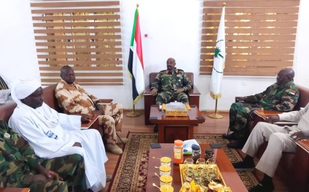 والي الشمالية يلتقي وفد المقاومة الشعبية لإقليم دارفور