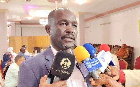 والي شرق دارفور يهنئ القوات المسلحة بفك حصار مدينة كادوقلي