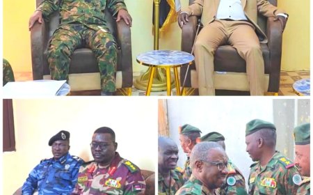 تنسيقٌ محكم لدعم معركة الكرامة اجتماع مشترك بين المقاومة الشعبية القومية ومقاومة شرق دارفور