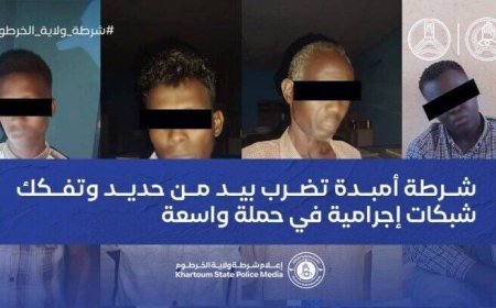 ضبط «تشكيل عصابي» في حملة أمنية واسعة بالعاصمة 