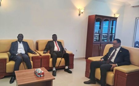 وزير التعليم العالي يبحث مع واليي شرق دارفور والنيل الأبيض تعزيز الاستقرار الأكاديمي