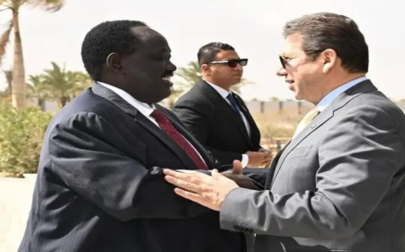 رئيس المخابرات المصرية يلتقي وفدا رفيع المستوى من دولة الجنوب 