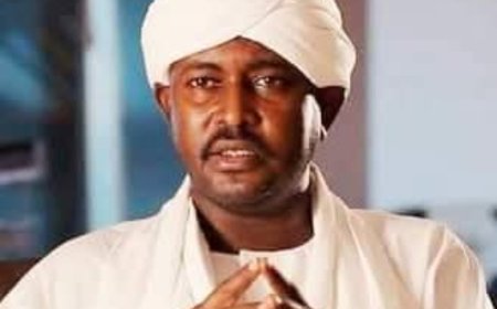 الصادق الرزيقي يكتب...الخلاف بين موسى هلال وحميدتي.. لماذا وكيف..؟ (1)