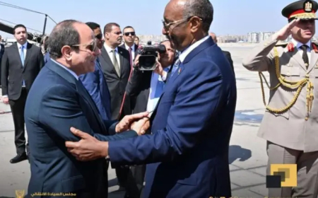 مصر تدين هجوم المليشيا على (مستريحة)