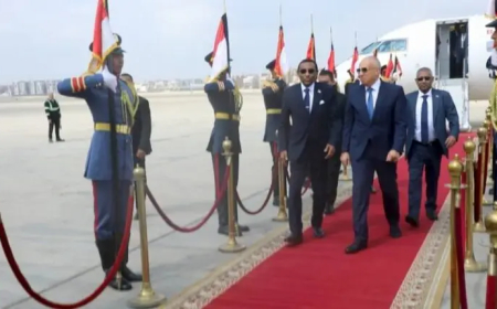 رئيس الوزراء يصل القاهرة 