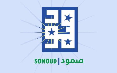 بالاسماء..دولة افريقية تمنح 24 فردا من “صمود” وعناصر المليشيا جوازات سفر 