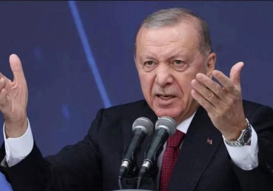 زيارة مرتقبة من أردوغان للإمارات وأثيوبيا