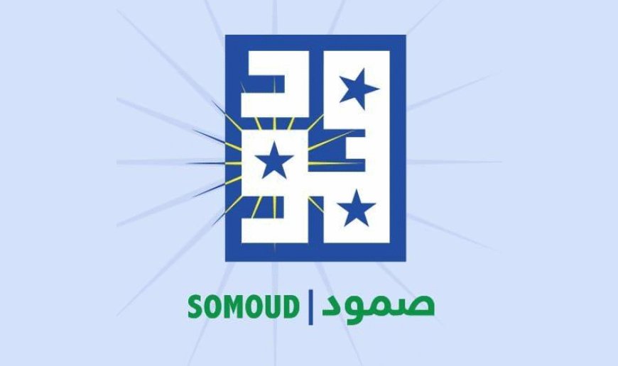 بالاسماء..دولة افريقية تمنح 24 فردا من “صمود” وعناصر المليشيا جوازات سفر 