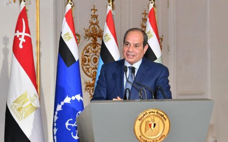 السيسي: حاولنا الوساطة بين واشنطن وطهران للوصول إلى إتفاق 