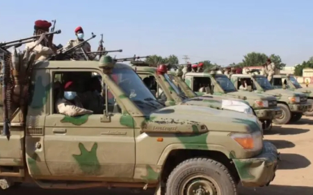 بينهم رجال شرطة سابقين.. الميليشيـ.ـا تنفذ حملة اعتقالات بوسط دارفور