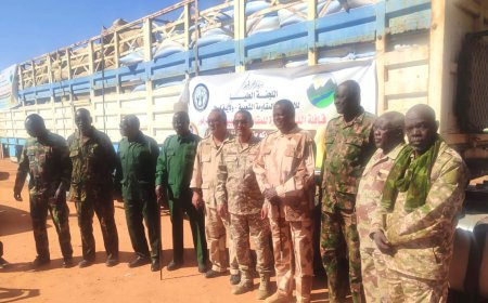 المقاومة الشعبية بكسلا تسير قافلة دعم للمقاومة الشعبية لإقليم دارفور