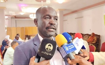 والي شرق دارفور يهنئ القوات المسلحة بتحرير مدينة بارا بشمال كردفان   