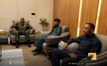 البرهان يلتقي موسي هلال 