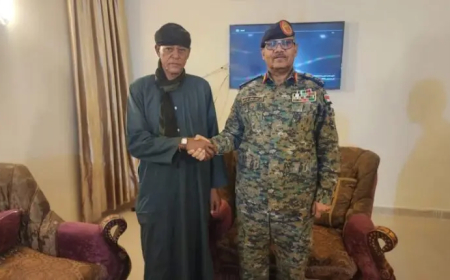 إبراهيم جابر: القوات ماضية بثبات في إنهاء التمرد 