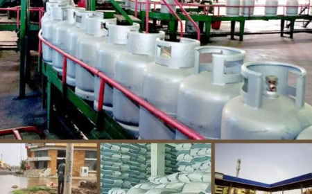 توجيهات بحسم المتلاعبين بالسلع الاستراتيجية في الخرطوم