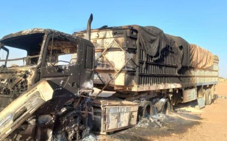 ضربات مباغتة للجيش على مواقع المليشيا بدارفور وكردفان