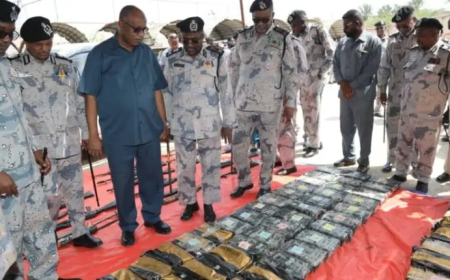 إحباط تهريب كميات ضخمة من المخدرات والأسلحة بالبحر الأحمر