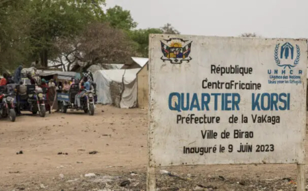 نهب لاجئين سودانيين على الحدود مع أفريقيا الوسطى