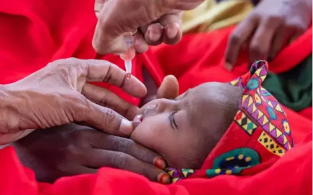 إلزام مستشفيات الخرطوم بمنح جرعة الكبد الوبائي للأطفال خلال 24 ساعة من الولادة