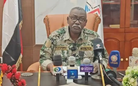 حظر تهريب «الوقود والسجائر والأدوية» بسنار 