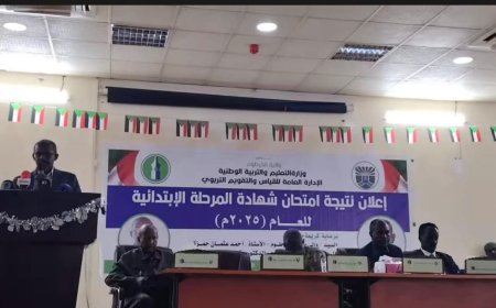 بنسبة نجاح بلغت 81.6%...إعلان نتيجة امتحان الشهادة الابتدائية بالخرطوم    