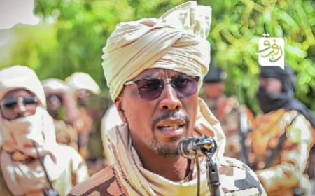 قائد القوات المشتركة التشادية السودانية: لا توجد أي مشاكل مع الجيش السوداني