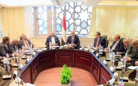 تشكيل لجنة مشتركة...مصر: مستعدون لتقنين أوضاع المدارس السودانية 