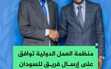 إرسال فريق من منظمة العمل الدولية إلى السودان 