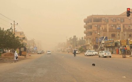 رياح مثيرة للغبار والأتربة تجتاح عدد من الولايات 