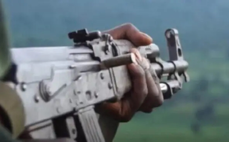  "توسان" و27 مليون جنيه ثمناً لحرية تاجر بنيالا