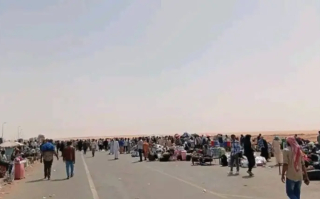 ديوان الضرائب يتبرأ: لا صلة لنا بزيادة أسعار التذاكر