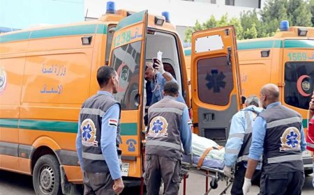 ‏«وجبة سمك» تُنهى حياة 3 سودانيين في مصر 