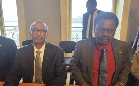 مناوي يصل جنيف 