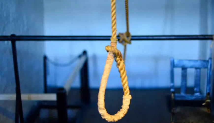 الإعدام شنقاً لوزيرة الزراعة في حكومة المليشيا بالجزيرة